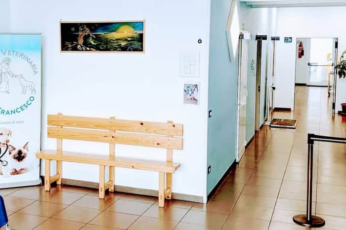 Clinica Veterinaria San Francesco (24h)