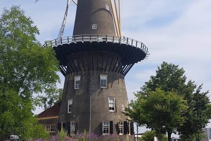 Molen De Valk & Plantage park