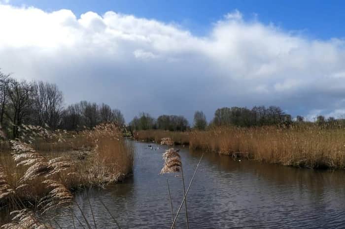 Polderpark Cronesteyn