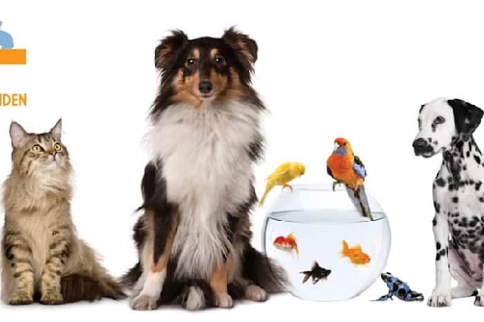 Evidensia Mijn Dierenkliniek Leiden