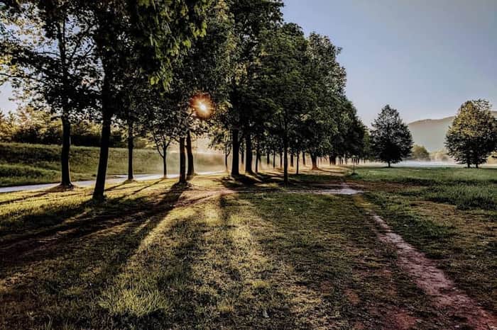Hundebadestelle Urfahr/Donau