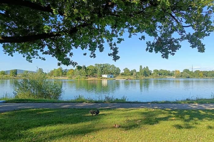 Pichlinger See
