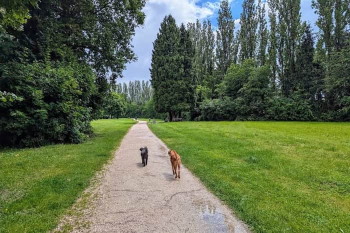 Hundefreilaufzone Urfahr/Donau