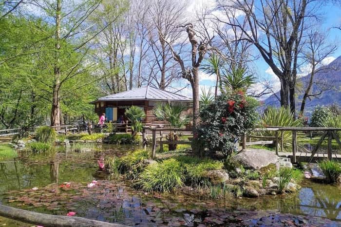 Parco delle Camelie