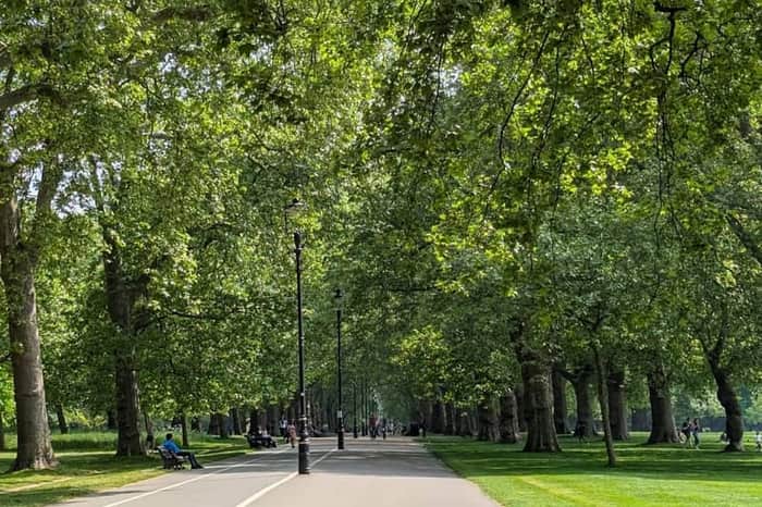 Hyde Park, The Dog Bowl