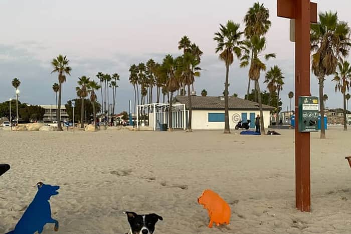 Rosie's Dog Beach (Long Beach)