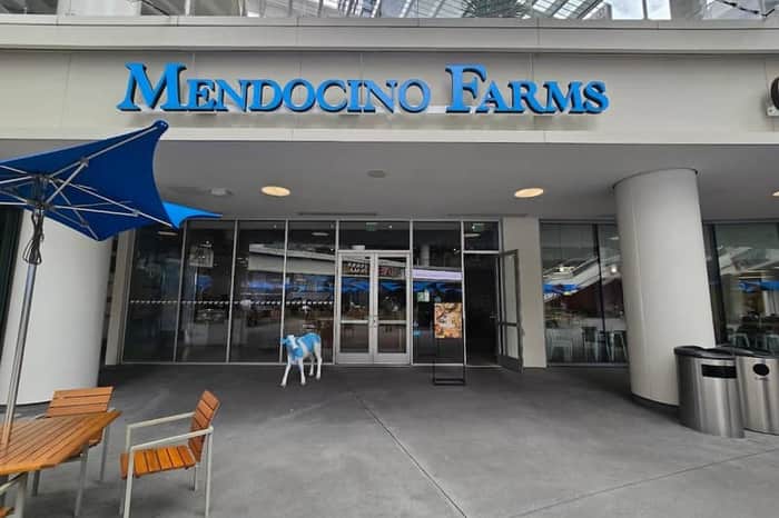 Mendocino Farms Downtown