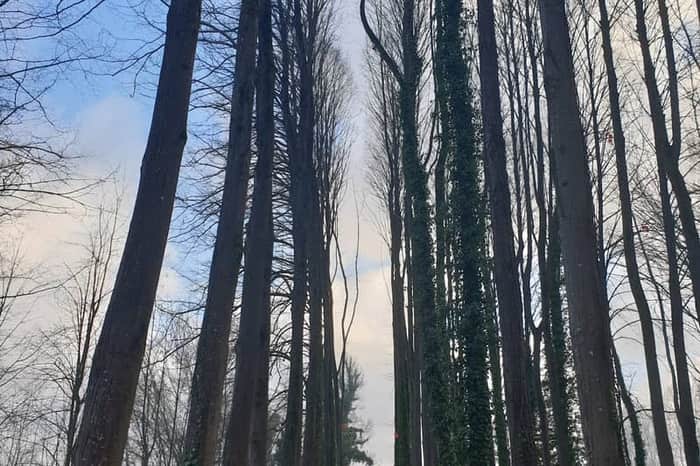 Parco Fluviale del Serchio