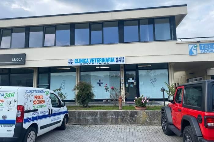 Clinica Veterinaria Lucca Centro