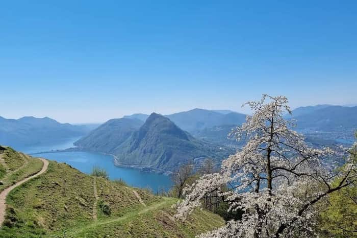 Monte Brè Funicular & Summit