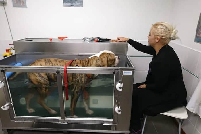 Dierenkliniek Heerlen (24h)