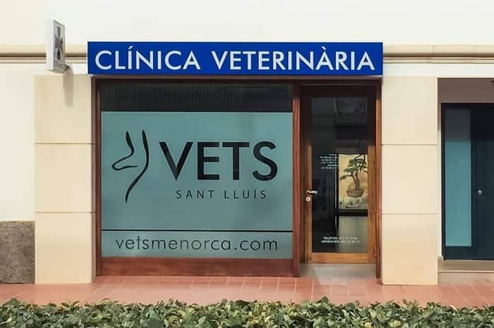 Vets Sant Lluís