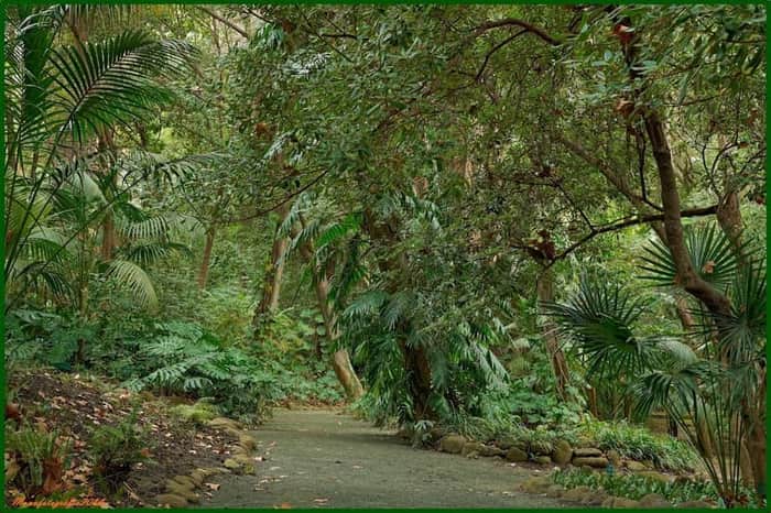 Jardín Botánico-Histórico La Concepción
