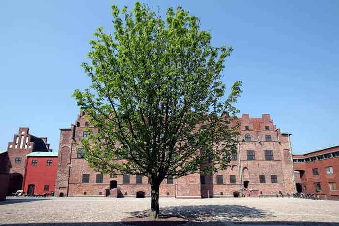 Malmöhus Slottspark