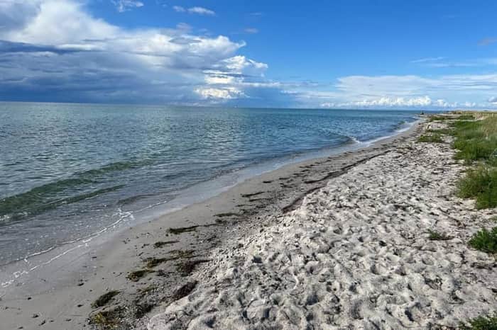 Falsterbo Strand (day trip)