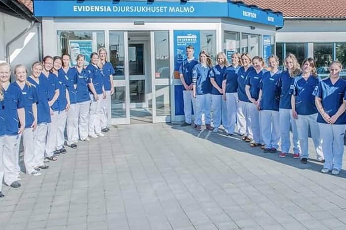 Evidensia Djursjukhuset Malmö
