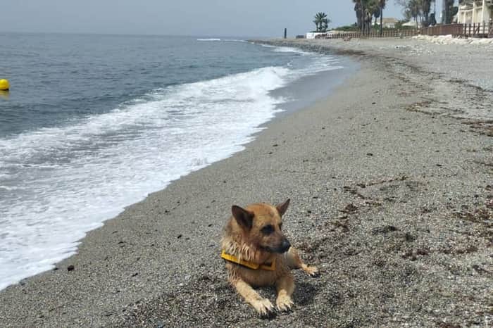 Playa Canina Ventura del Mar