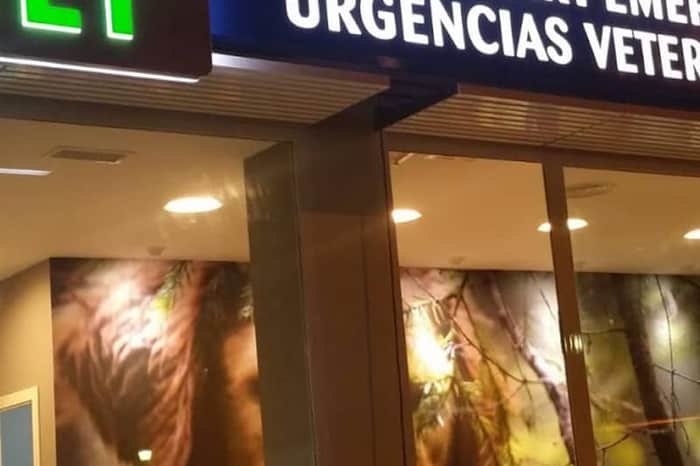 Urvet Marbella