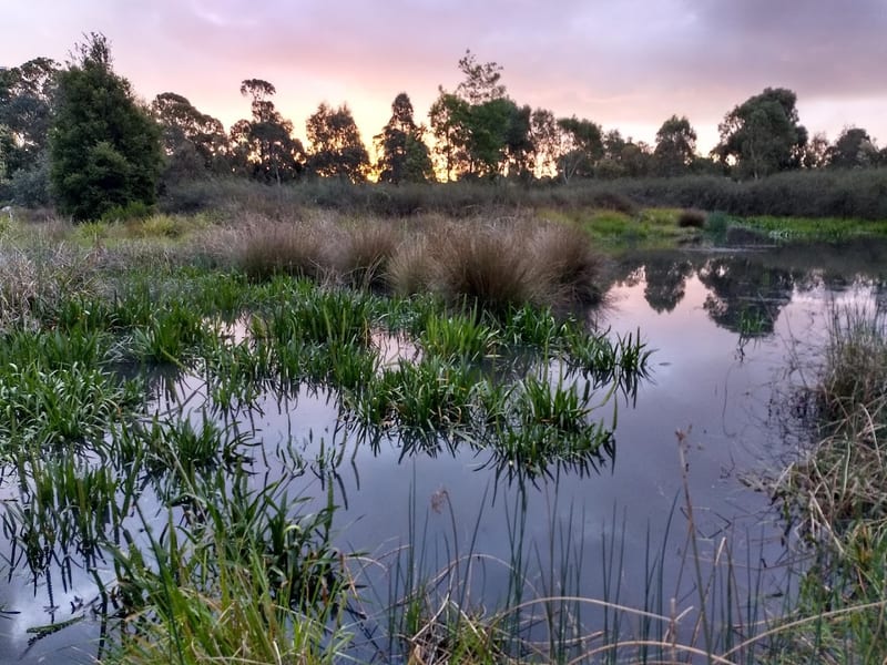 Royal Park