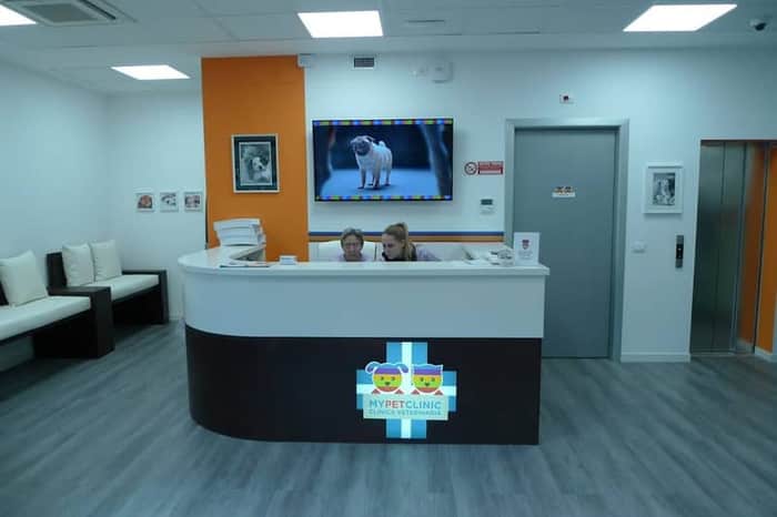 Clinica Veterinaria Nerviano (CVN), 24h