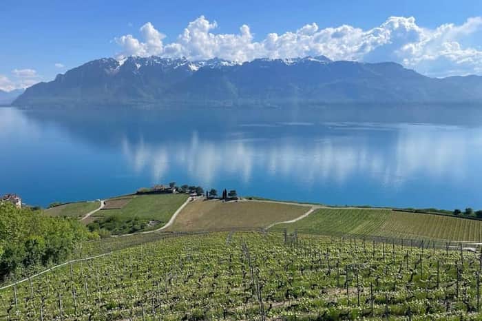 Lavaux UNESCO Vineyards (Sentier Viticole)