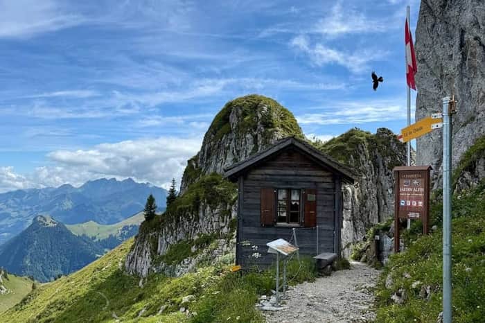 Jardin Alpin La Rambertia (Rochers-de-Naye)