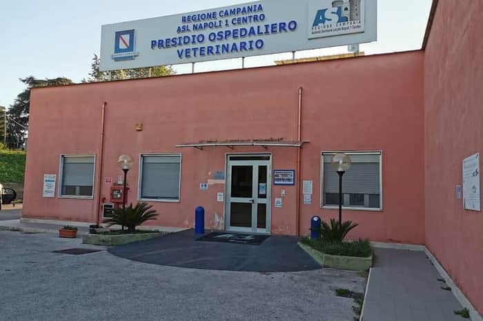 ASL Napoli 1 Centro, Servizio Veterinario