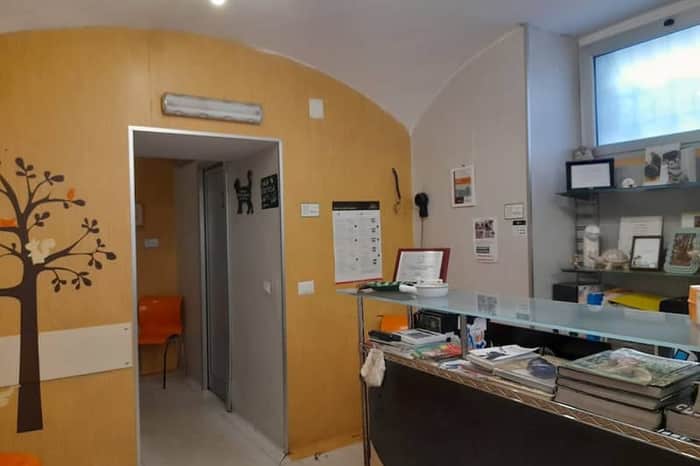 Clinica Veterinaria Partenope