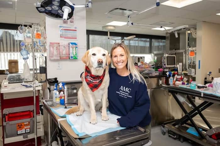 Animal Medical Center (AMC)