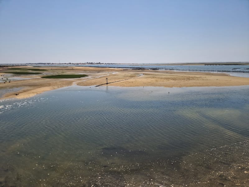 Quinta de Marim (Centro de Educação Ambiental)