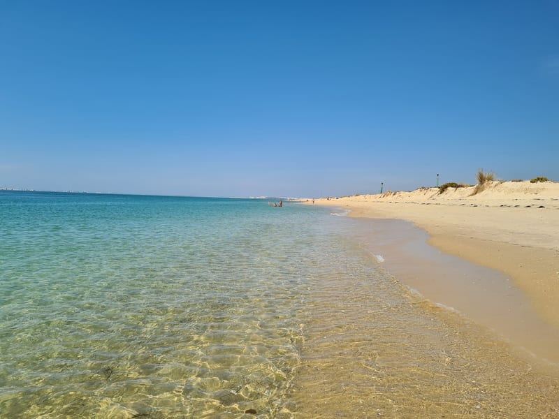 Praia da Armona (Mar)