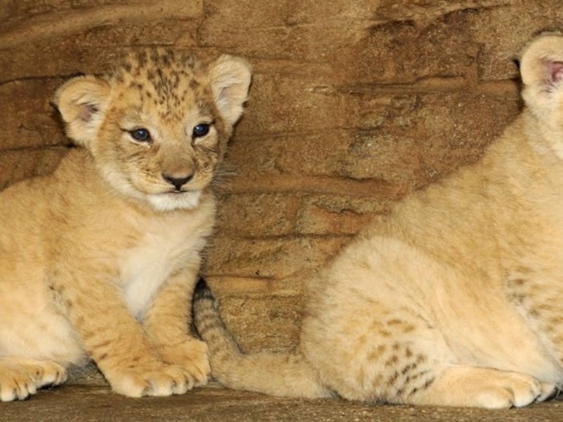 Zoo Olomouc
