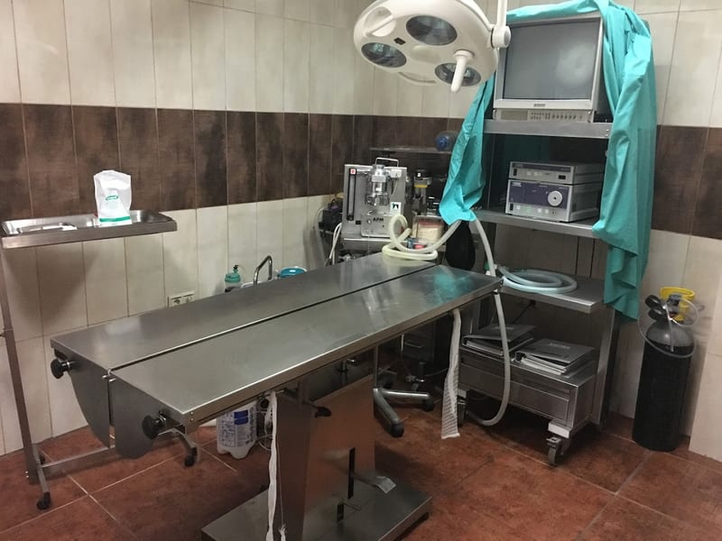 Clínica Veterinaria Oropesa
