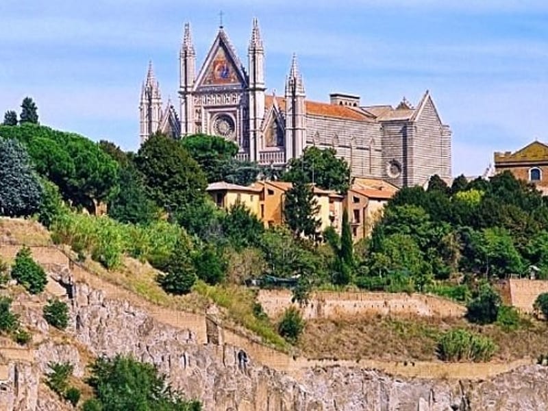 Clinica Veterinaria Orvieto (Emergenze H24)