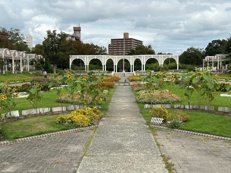 Suminoe Park Dog Run