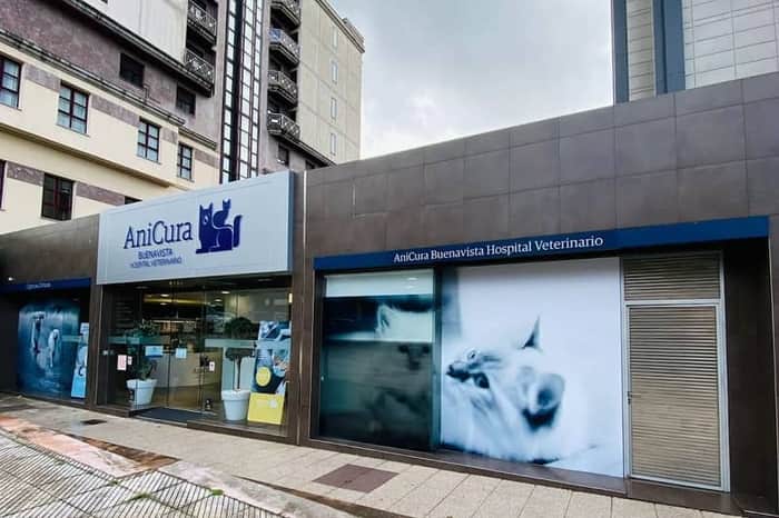 AniCura Buenavista Hospital Veterinario