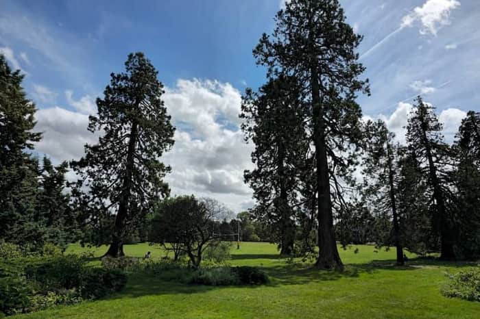 University Parks