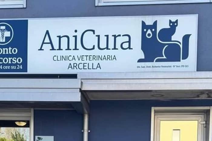 Centro Veterinario Specialistico Padova Sud