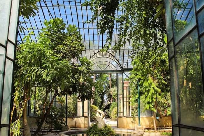 Orto Botanico di Palermo