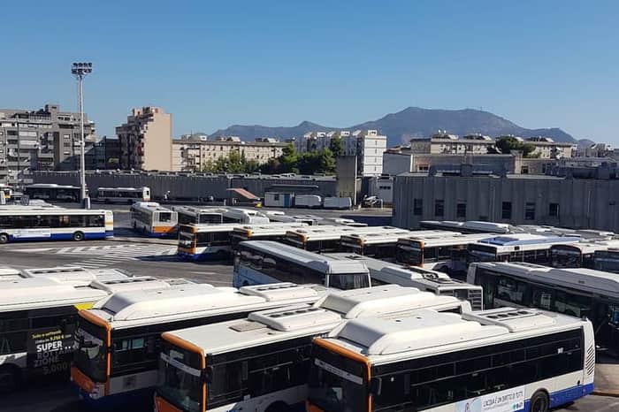 AMAT Tram & Bus