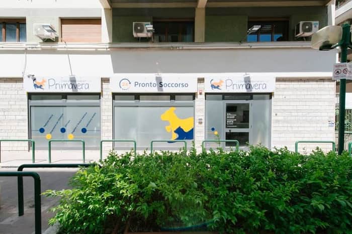 Clinica Veterinaria Borgo Nuovo (24h)