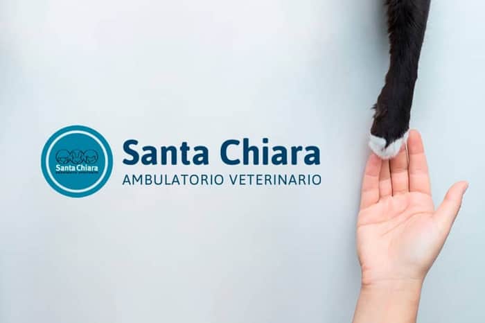 Studio Veterinario Vucciria
