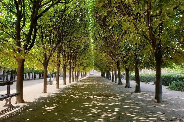 Palais Royal Gardens