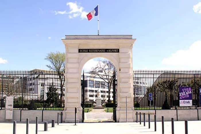 École Nationale Vétérinaire d'Alfort, CHUVA