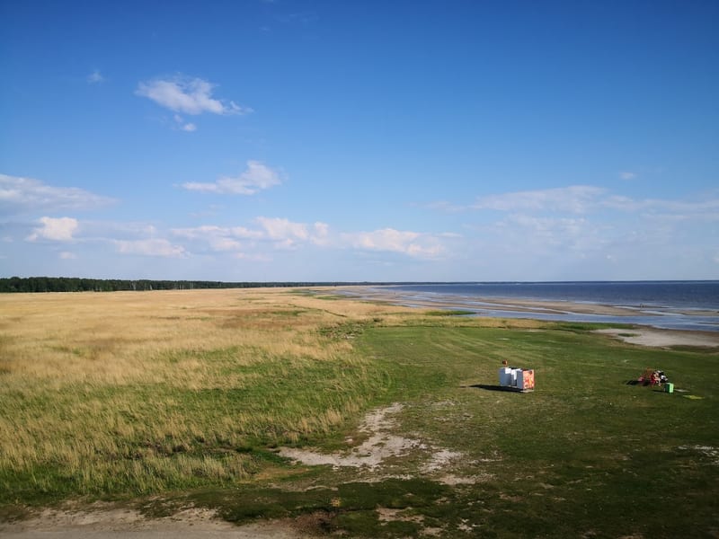 Pärnu koerte jalutusväljak (Mai dog park)