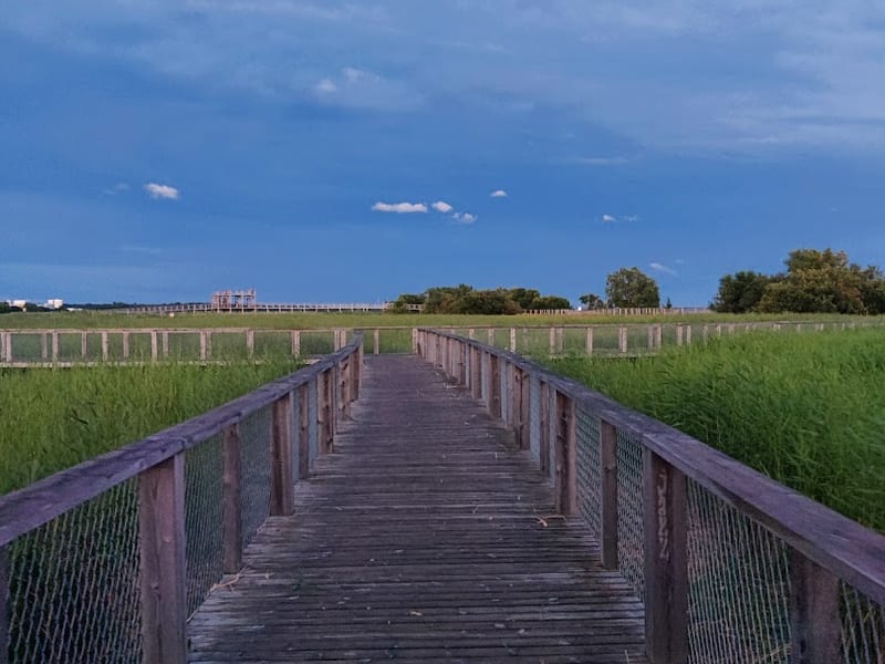 Pärnu rannaniidu matkarada
