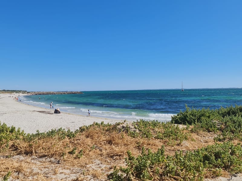 South Beach dog beach, South Fremantle
