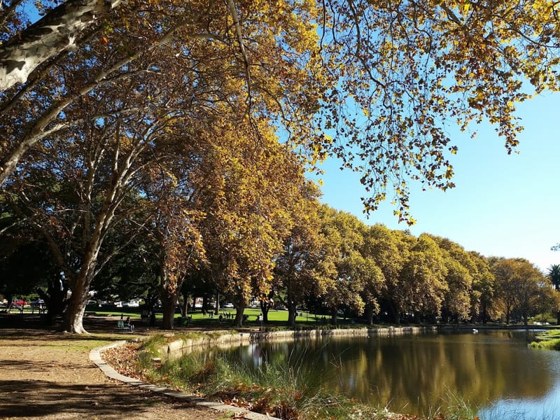 Hyde Park