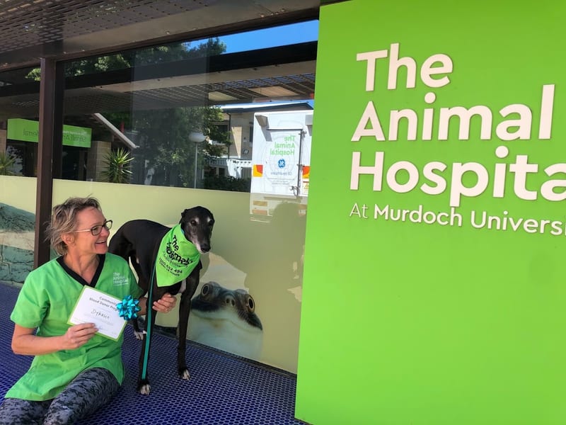 The Animal Hospital at Murdoch University