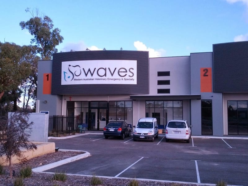 WAVES, Western Australian Veterinary Emergency and Specialty